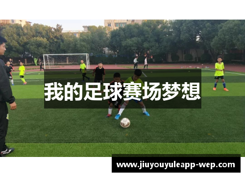 我的足球赛场梦想