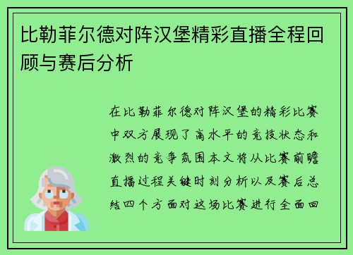 比勒菲尔德对阵汉堡精彩直播全程回顾与赛后分析